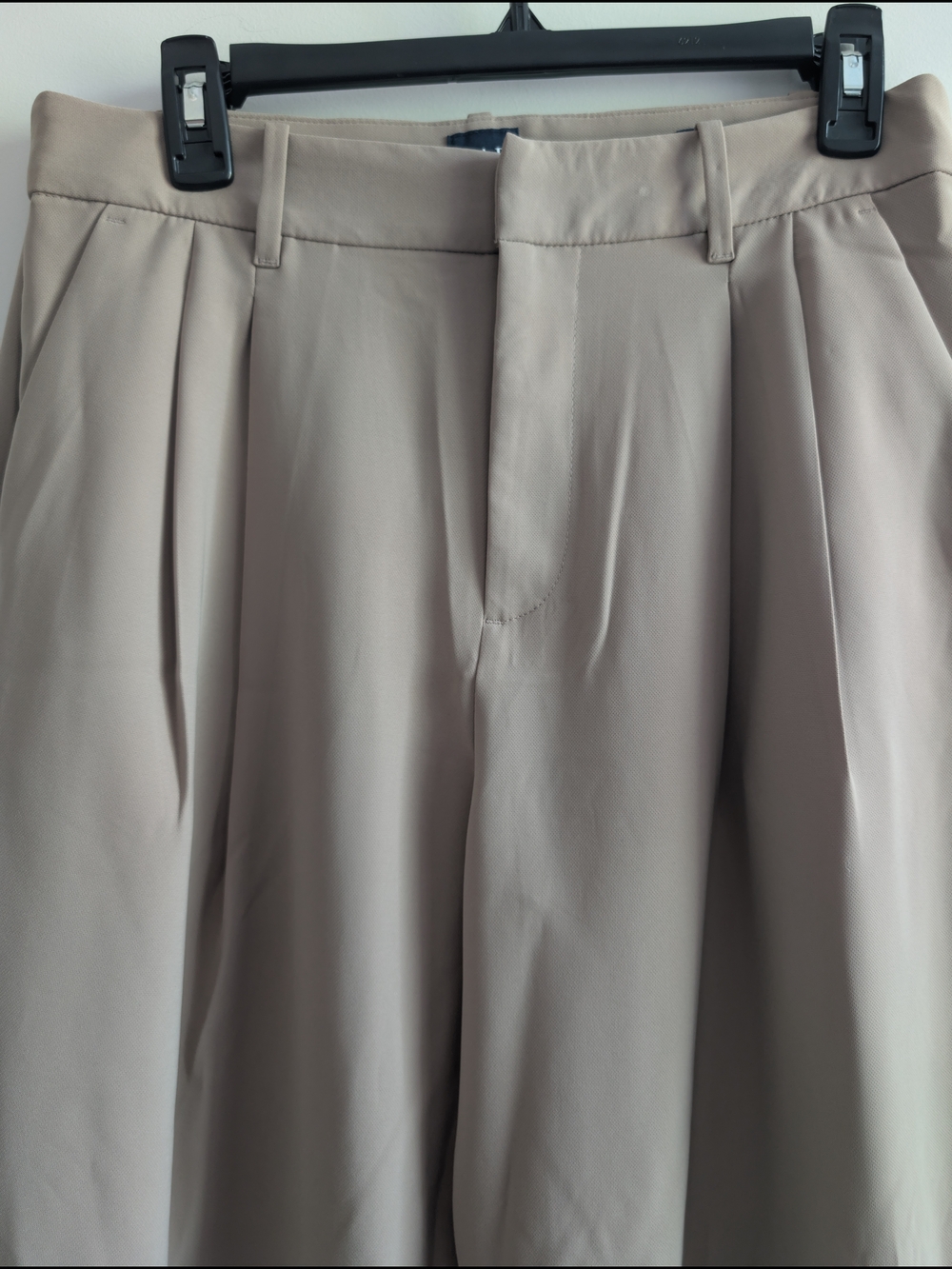 Gap Pleated Wide Legged Trousers in Light Taupe